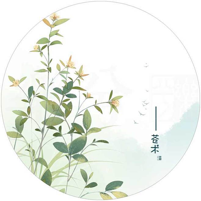 本草图中药插画手绘素材植物草药水彩sai古风