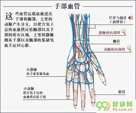 show-思维导图