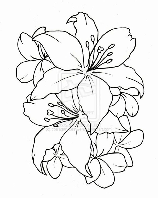 tatto flower drawing.