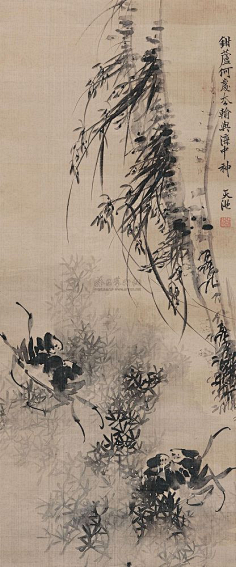 徐渭-花瓣网|陪你做生活的设计师 | 徐渭 大写意水墨画 螃蟹 #国画