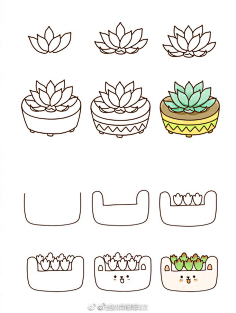 com 【18个超萌多肉植物简笔画】 盛夏时节 来画组清新可爱的多肉盆栽