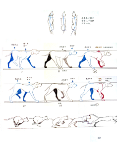 动画-花瓣网|陪你做生活的设计师 | 鸭子运动规律分解