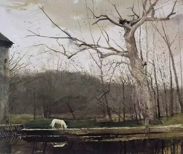 安德鲁·怀斯 andrew wyeth