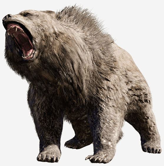 滴彩从zhny转采于2021-06-04 08:35:58免抠大吼的棕熊微表情动物滴彩