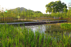 河道景观