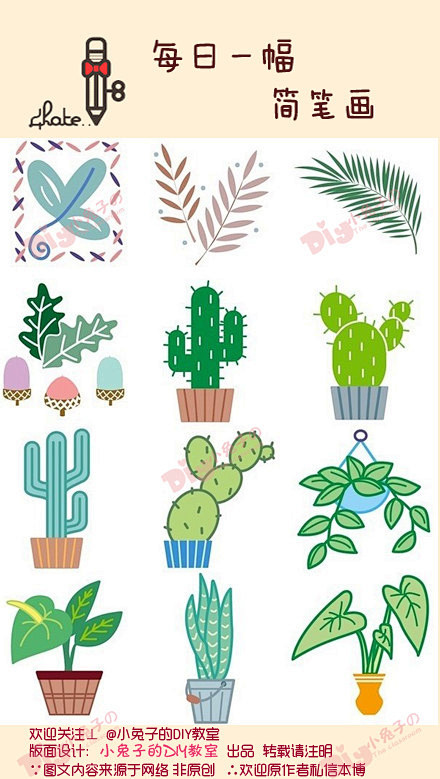 每日一幅简笔画植物植物你真美丽艾玛仙人掌你真是太萌啦