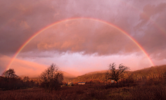 rainbow彩虹