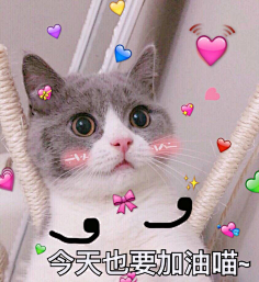 朋友圈可爱素材