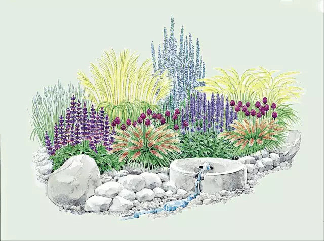 com 合肥植物园观赏草为主的花境秋景#阿鹏花境#  沐笙