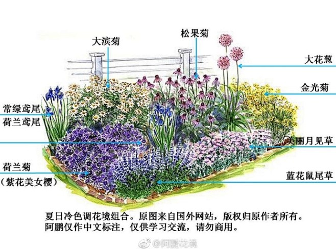 花境示例