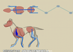 com 四足动物循环动画怎么做?