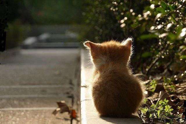 de 销魂滴背影~~~ pinterest.