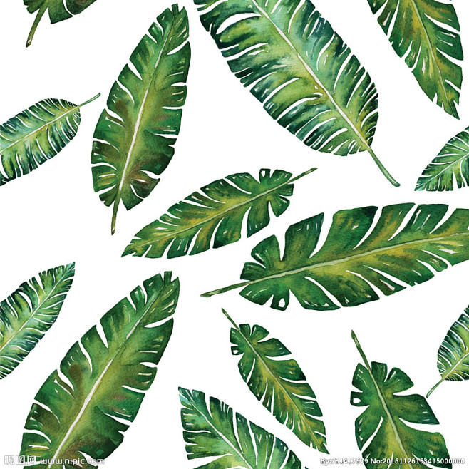 热带植物叶子热带植物印花矢量叶子图案水彩植物图案绿色植物叶子芭蕉