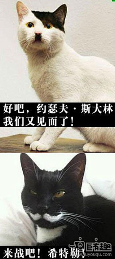 com 猫猫版斯大林和希特勒