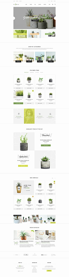 网页设计模板-花瓣网|陪你做生活的设计师 | 盆栽简约