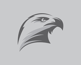 鸟鹰logo