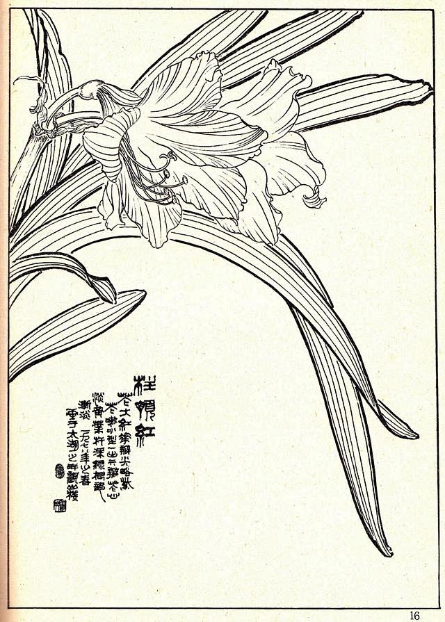 花卉线描资料白描花卉兰花