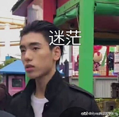 表情异(王子doge表情包动态小狗)图片