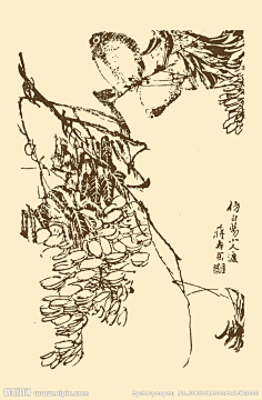 com 芥子园画谱 花鸟大图 点击还原 nipic.com yiran_饭太稀采集到芥