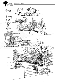 植物-花瓣网|陪你做生活的设计师 | 植物配置平面图例