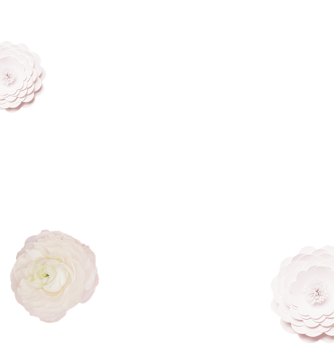 纸 白茶 满天星 灰色背景 鲜花 png 免扣元素 ti2