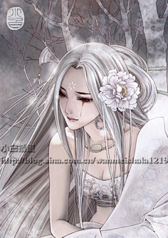 张小白画集