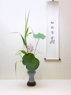 静物—插花美学