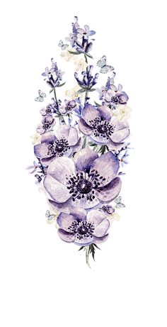 手绘花 蝴蝶 叶子 花环 钻石 花瓣 png素材-花瓣网|陪