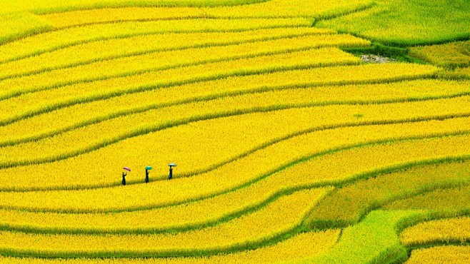 大地艺术