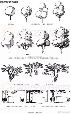 绘制出一个风景速写或景观设计图,20种植物的手绘速写技法能帮你在