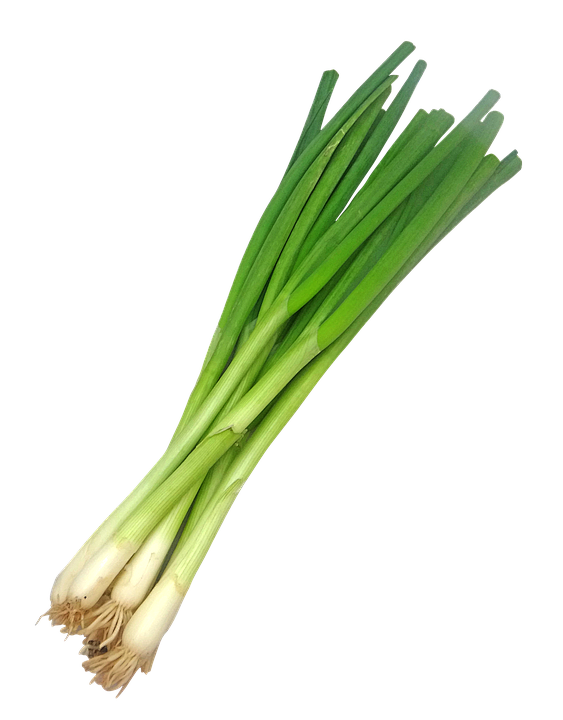 Leek PNG