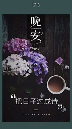 迷色晚安2