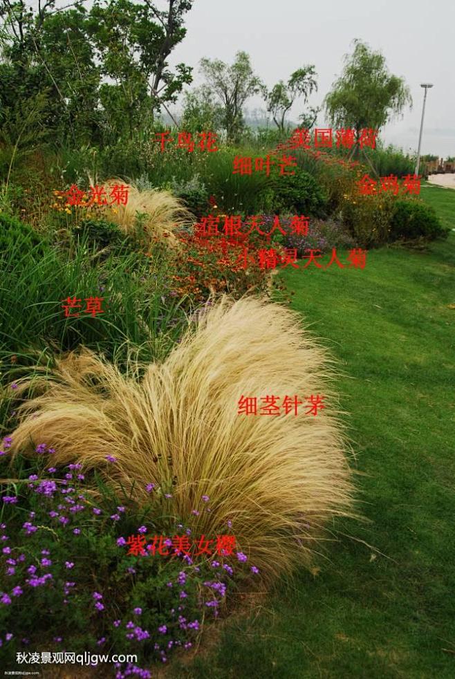 花镜
