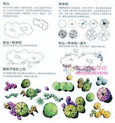 小a鹿