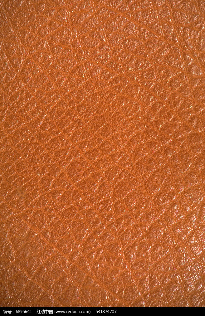皮质贴图