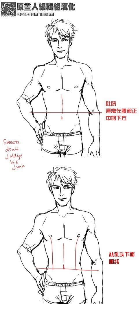 【汉化【男性腹肌】如何画出诱人的男性腹肌~还有漂亮的人鱼线哦!