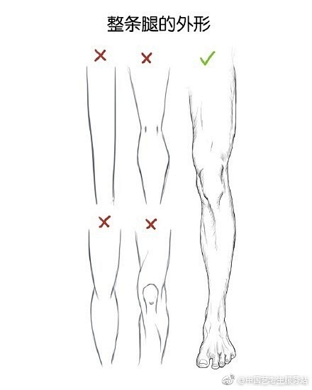 速写膝盖经常画的跟胡萝卜一样是因为你对结构不够了解676767