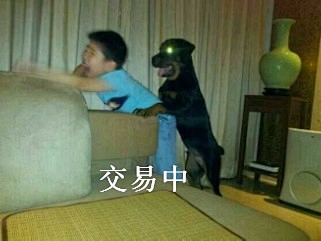 表情包