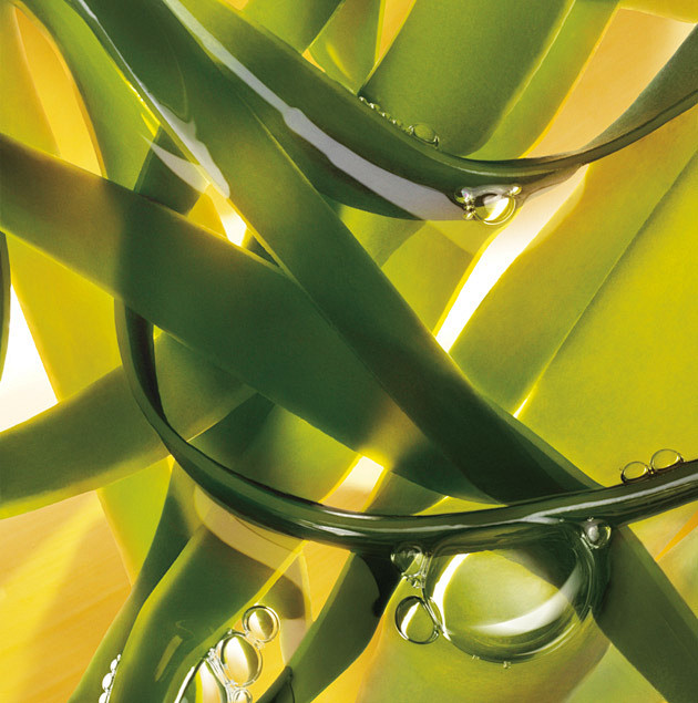 com soleil 2 cremedelamer.com