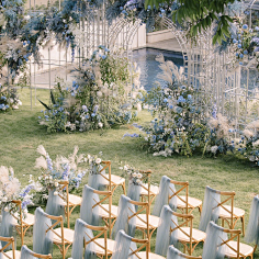 艺术家的思想采集到weddings-蓝