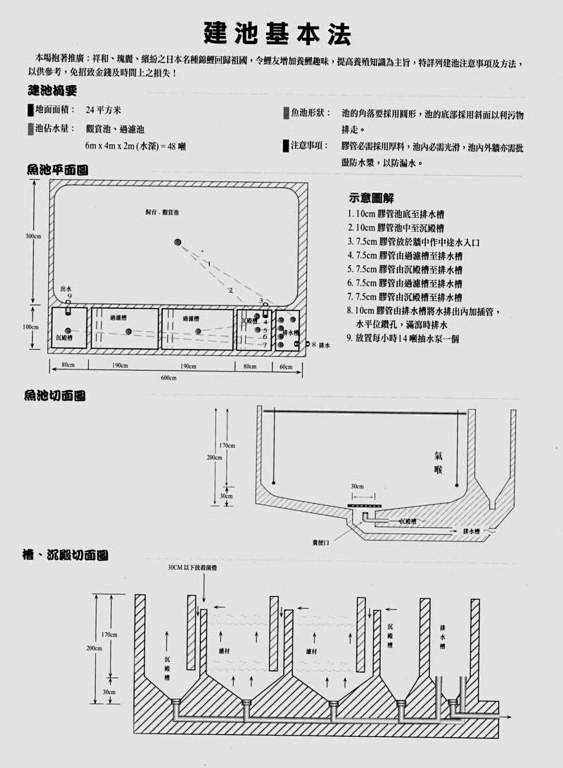 锦鲤鱼池