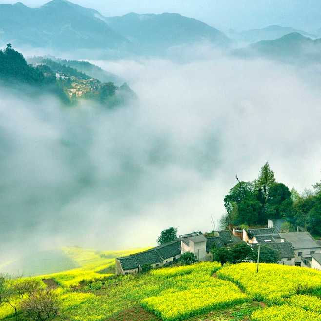 江南烟雨 作品介绍:春天的皖南山区,春雨.