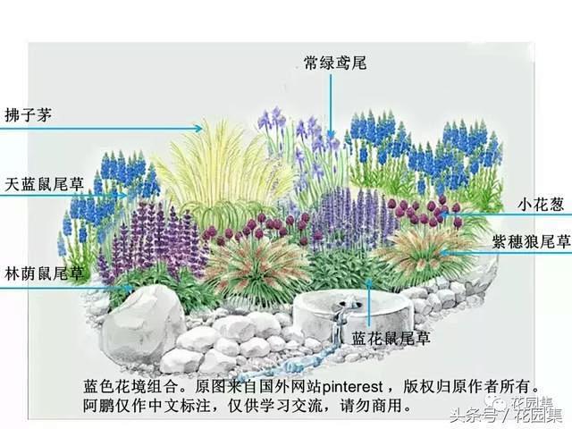 花境-花瓣网|陪你做生活的设计师 | 植物 : 色彩是中