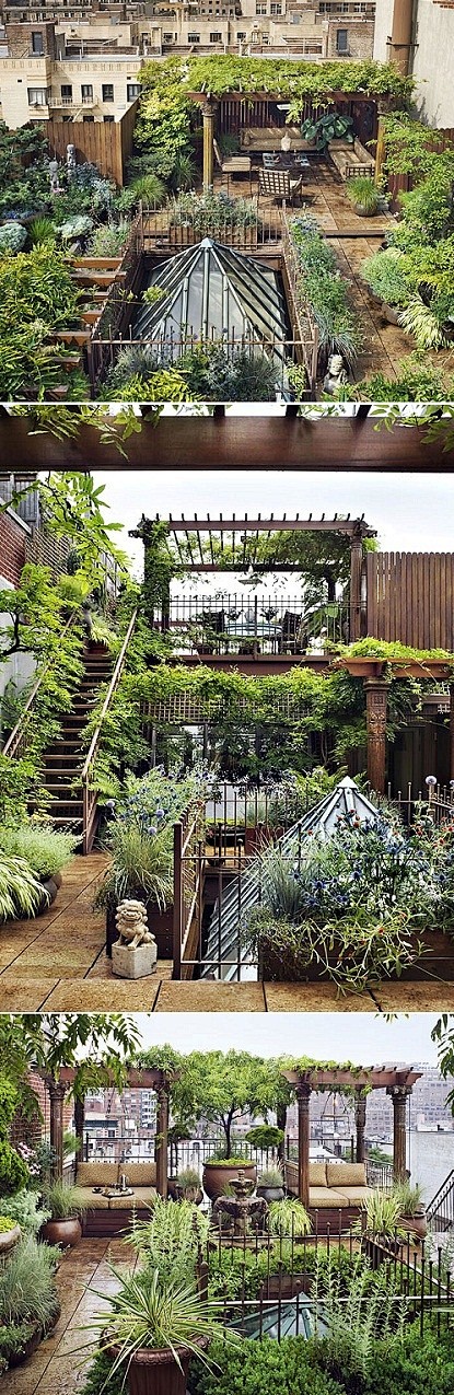 rooftop garden - nyc.