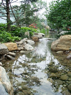 溪流景观