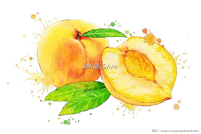 水果黄桃手绘插画第一次这么认真的画水果