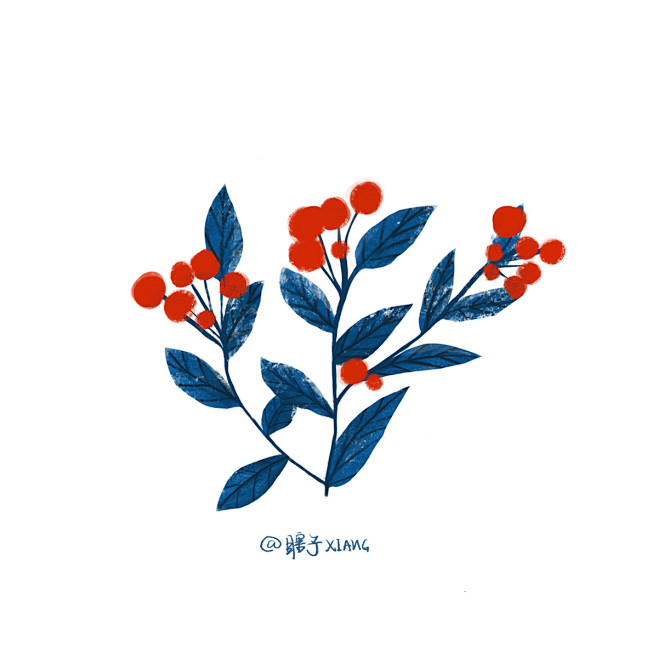 植物小插画