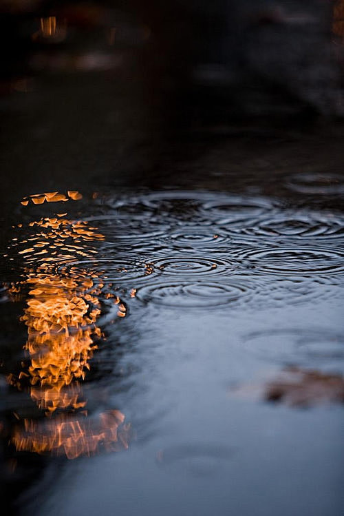 寂寞的雨夜你是否还是一个人在淋雨还是一个人趴在窗台看着寂寞的雨滴