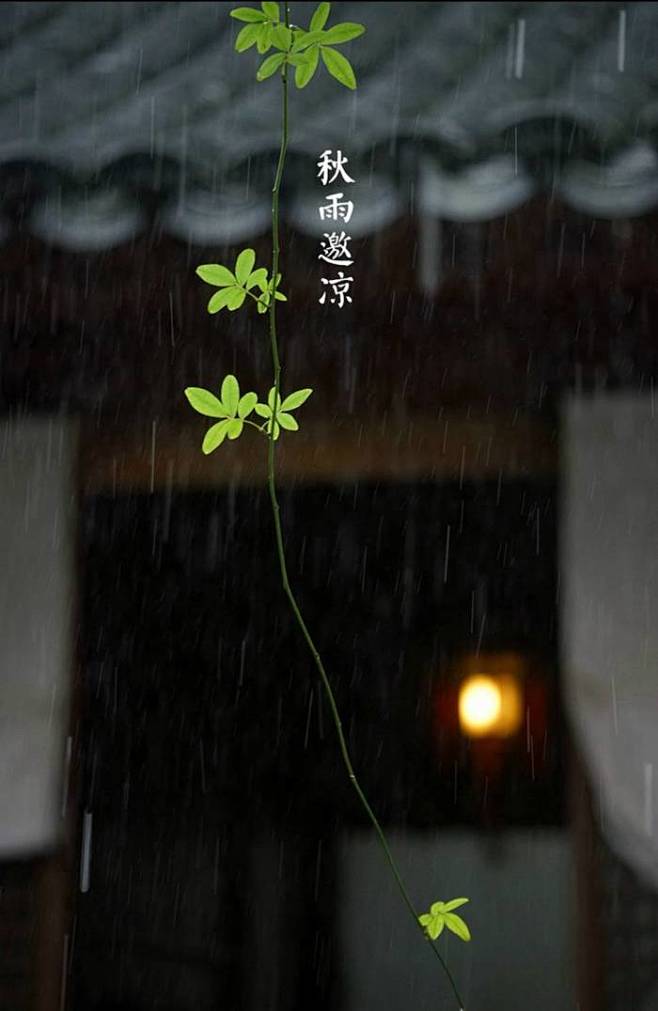 【中国节气:立秋】暑热渐退,白露晨起,秋雨邀凉.