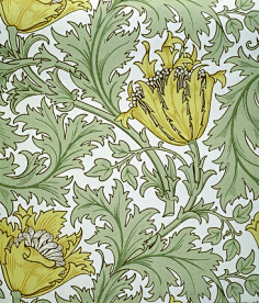 william morris